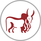 Induslnd Bank Ltd 41